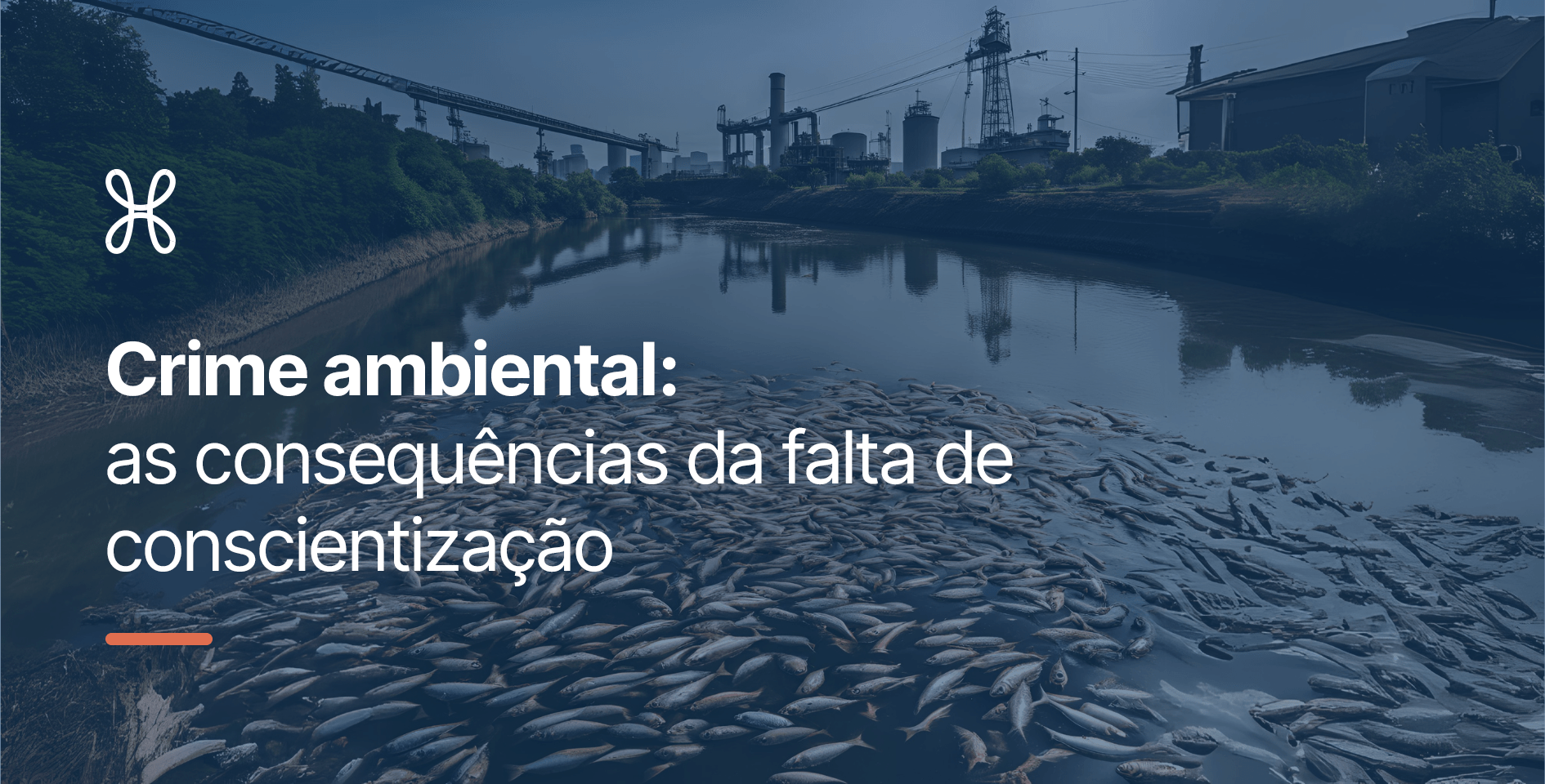 Crime ambiental: as consequências da falta de conscientização