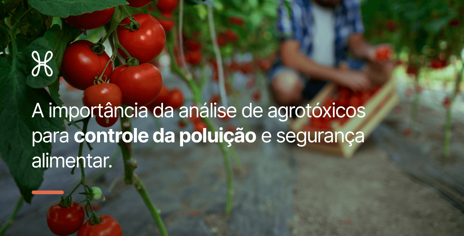 A importância da análise de agrotóxicos para controle da poluição e segurança alimentar.