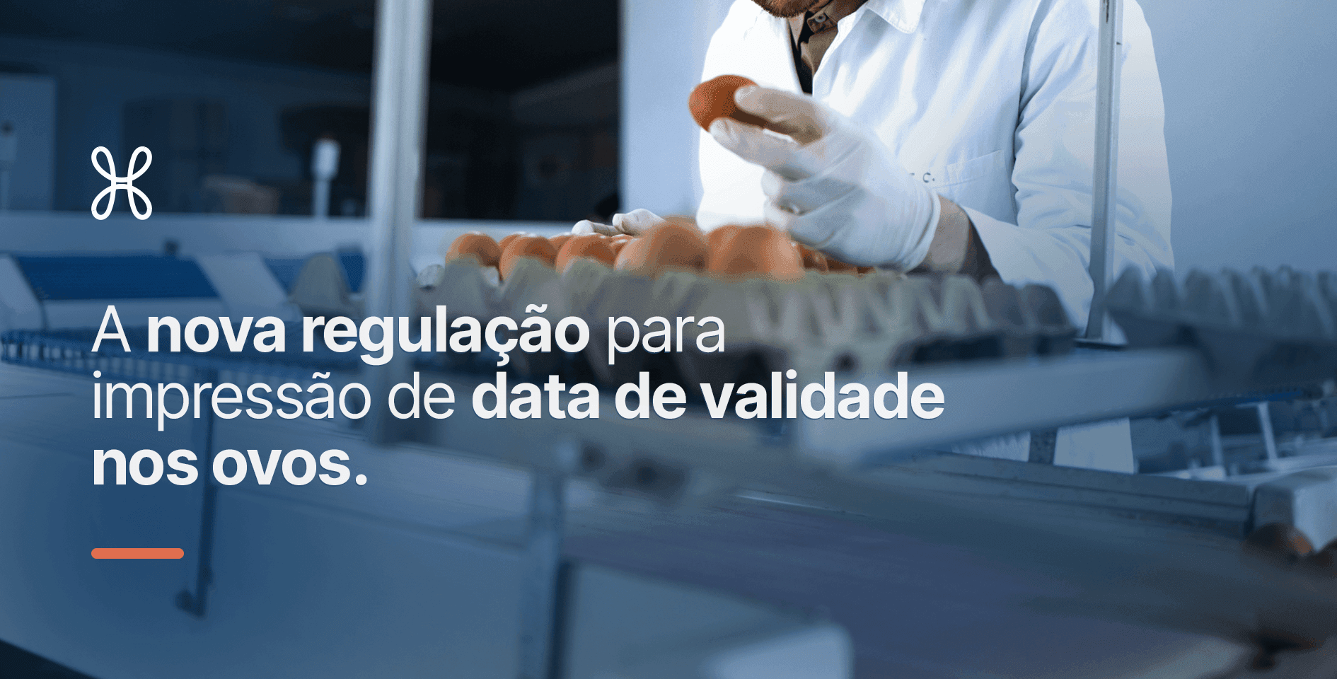 A nova regulação para impressão de data de validade nos ovos