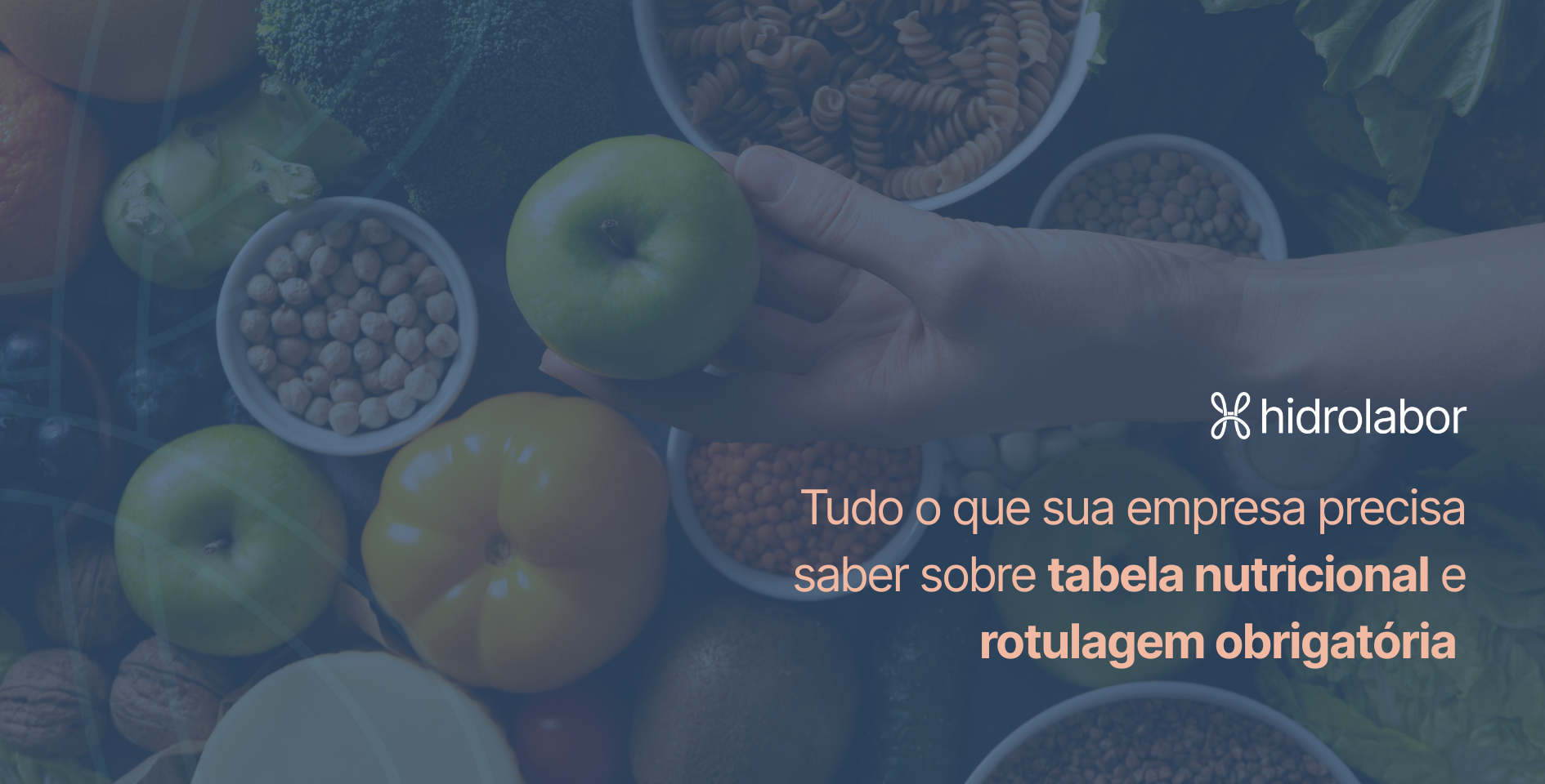 Tudo o que sua empresa precisa saber sobre tabela nutricional e rotulagem obrigatória