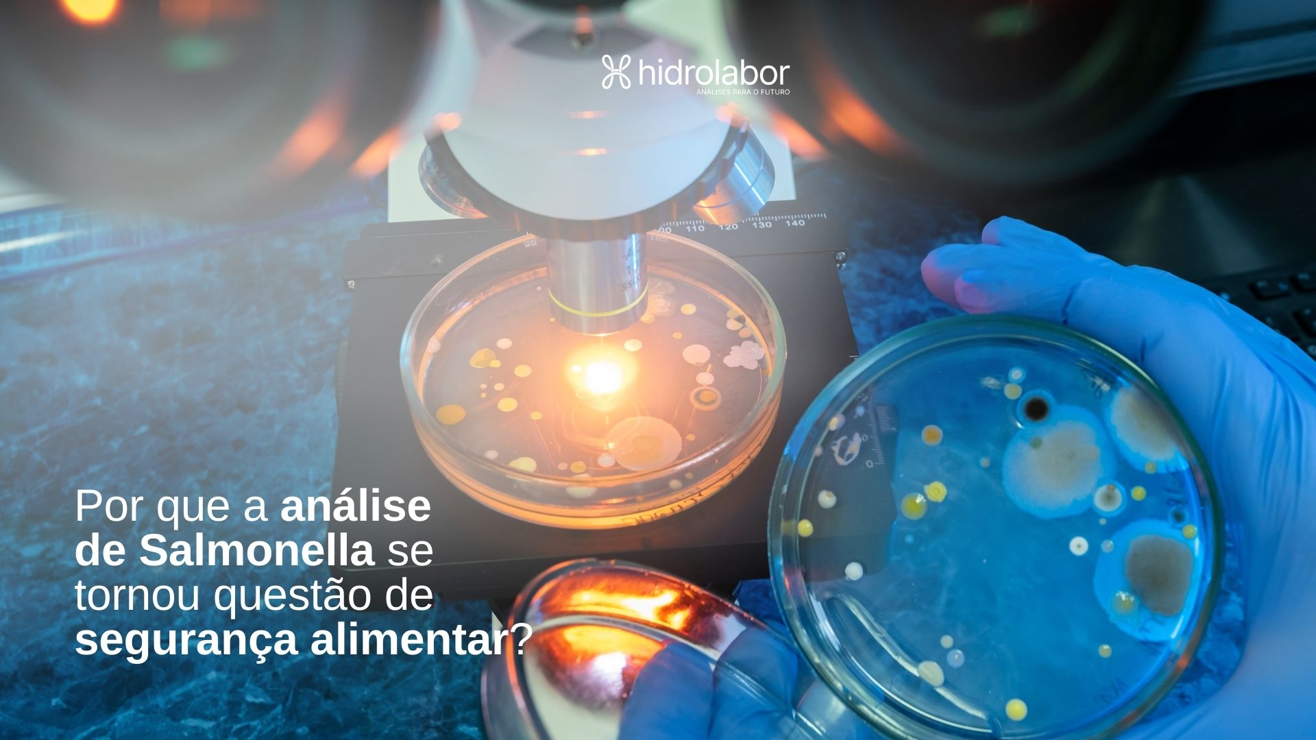 Por que a análise de Salmonella se tornou questão de segurança alimentar?